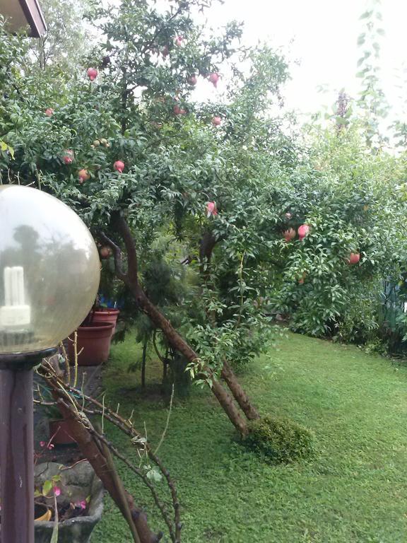 Casa Irene Bed & Breakfast Torri di Quartesolo Dış mekan fotoğraf