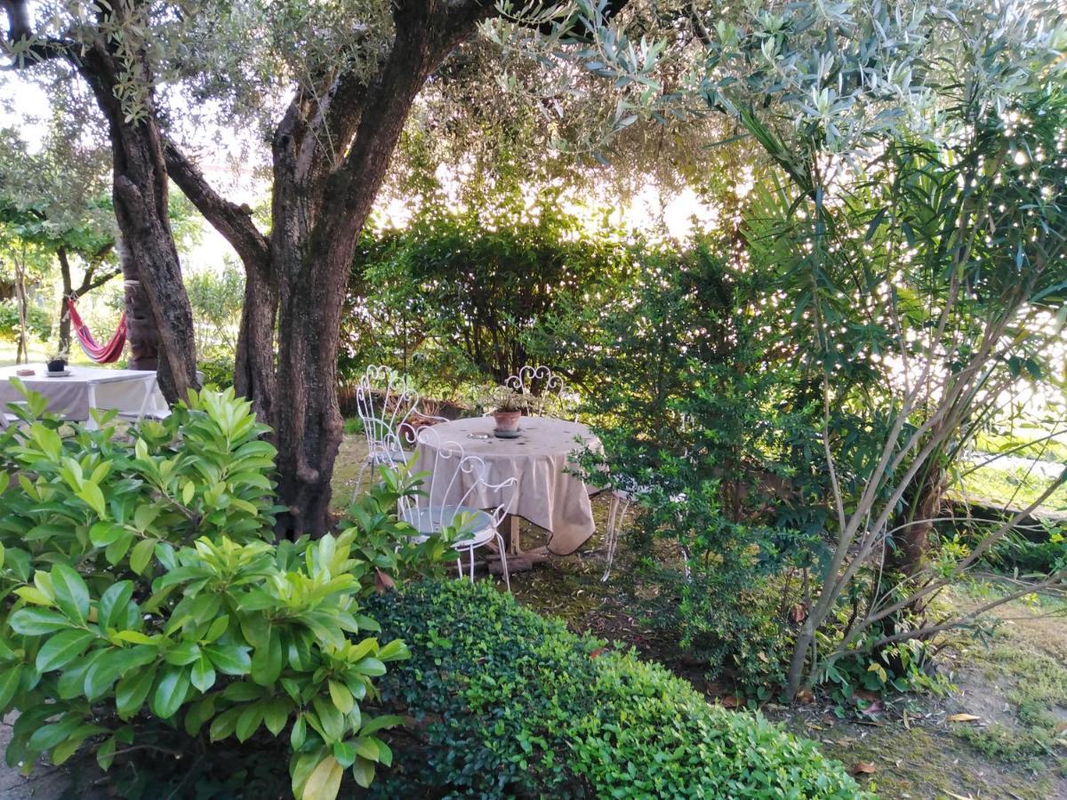 Casa Irene Bed & Breakfast Torri di Quartesolo Dış mekan fotoğraf